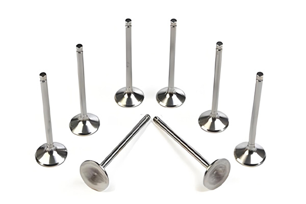 Exhaust Inlet Valves